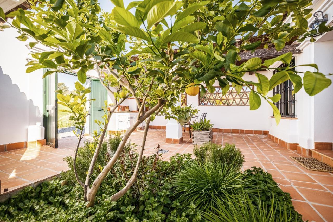 Casa Maurus By Rosas Cantares Pizarra Ngoại thất bức ảnh
